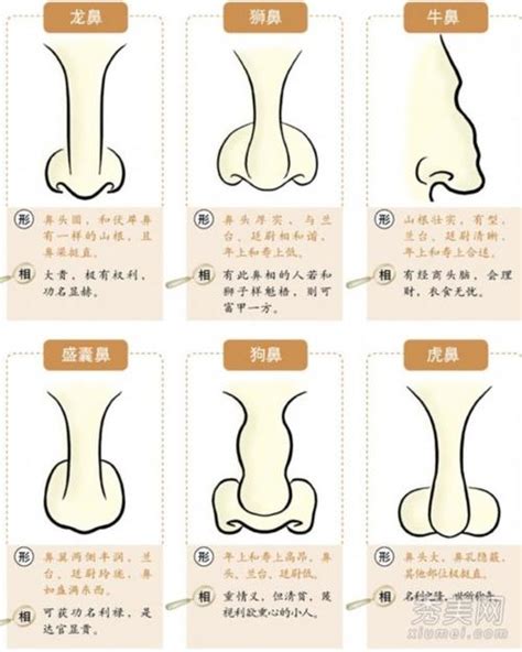 鼻孔大面相|鼻孔大的人面相怎么样？